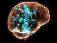 Curiozități-despre-creierul-uman