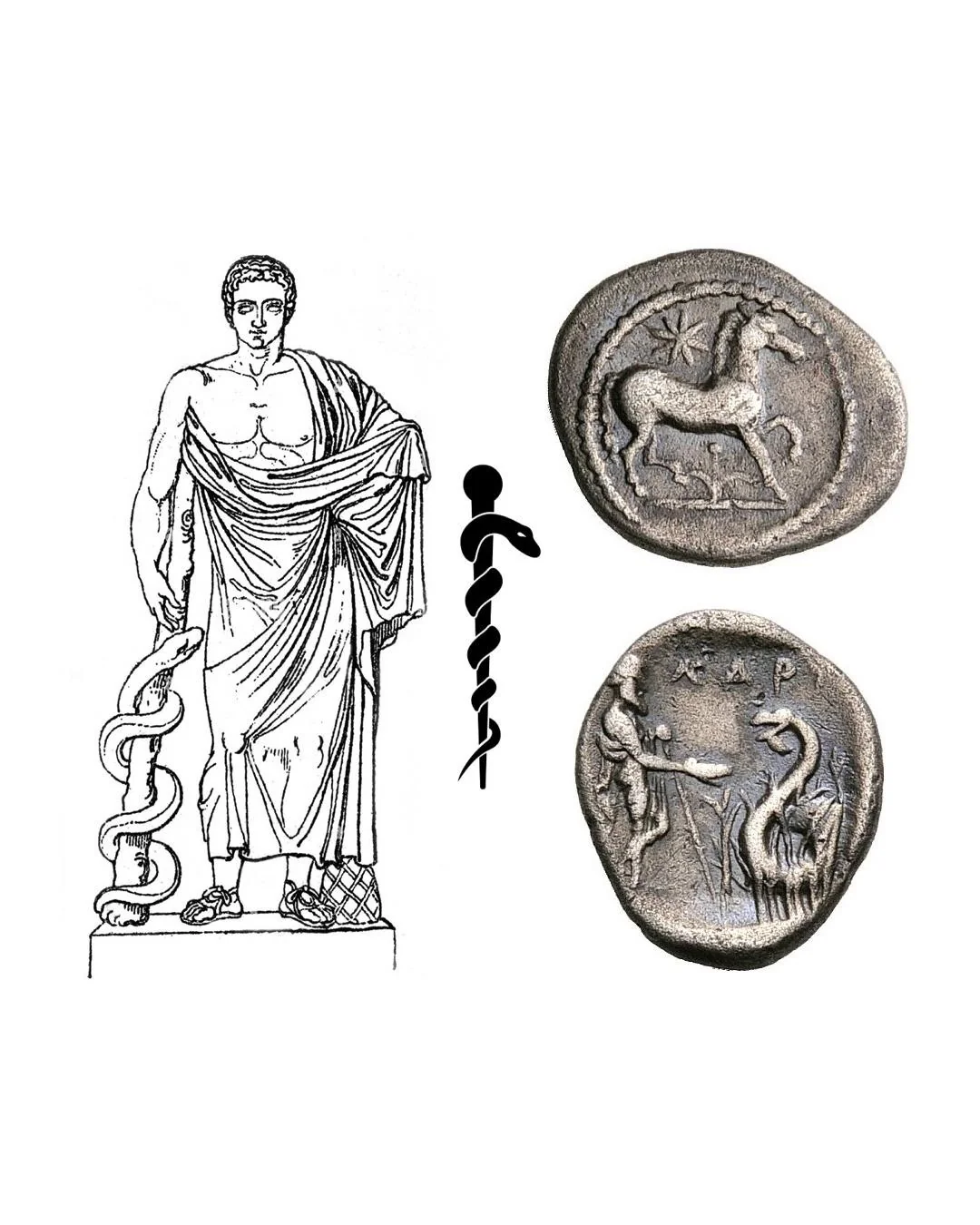 ASCLEPIOS - Zeul Medicinei